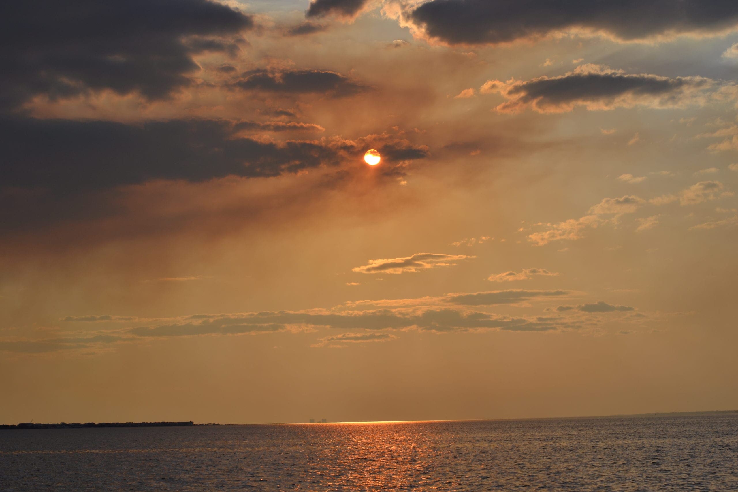 Photo by Irena Zaal