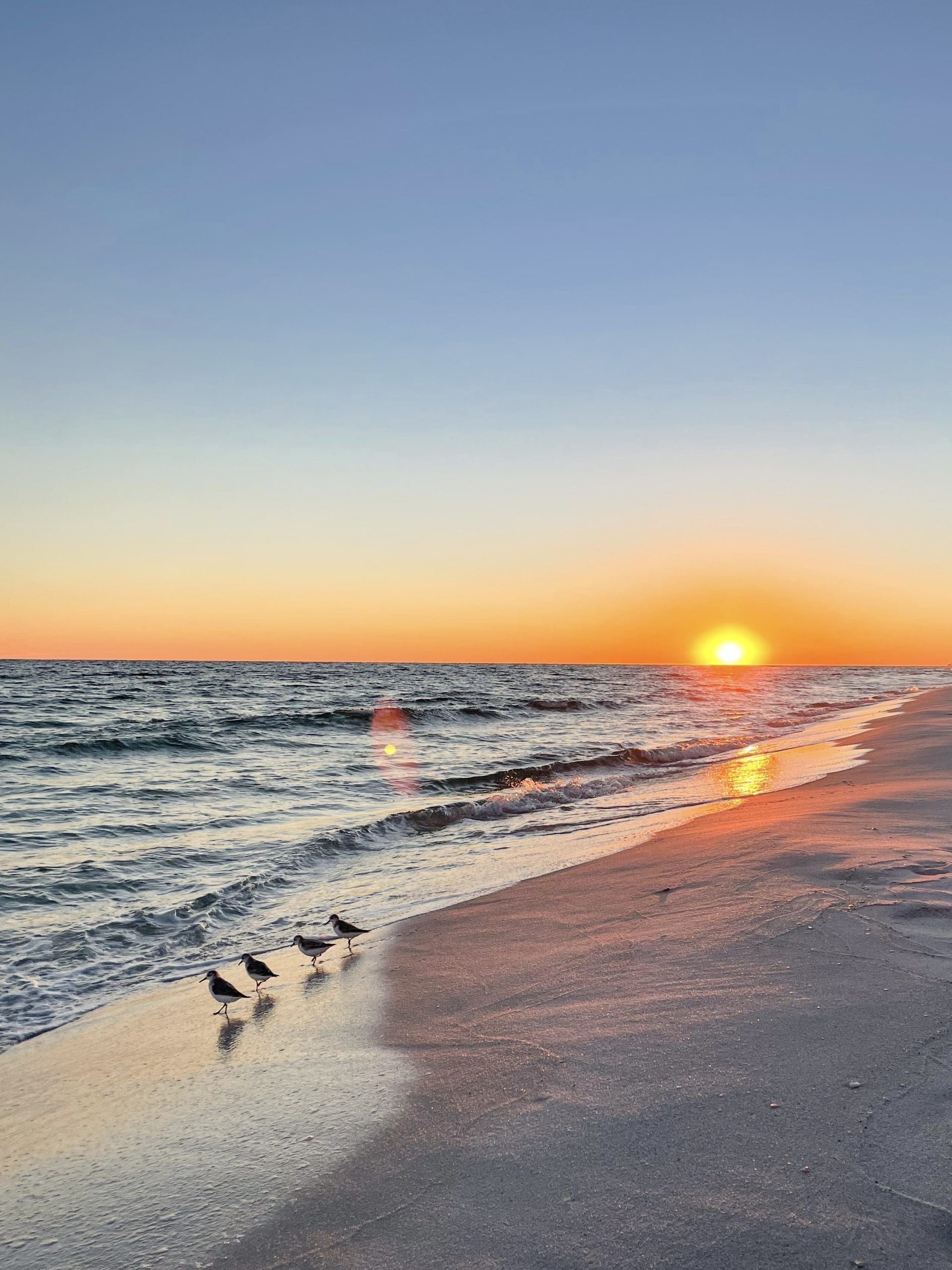Today's Photo of the Day comes from Jennifer R. Jennifer took this photo last Sunday while walking on the beach. 

"The sandpipers were lined up and ready for their next snack," Jennifer said. 🌅