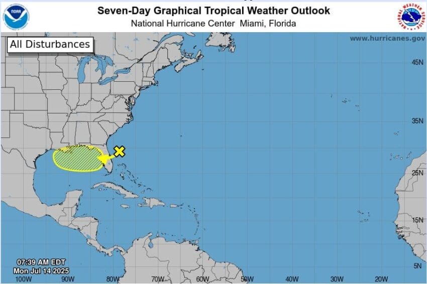 tropical development