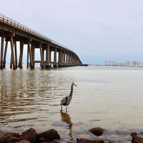bridge